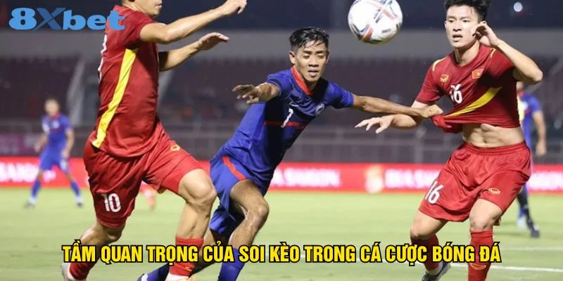 tam-quan-trong-cua-soi-keo-trong-ca-cuoc-bong-da