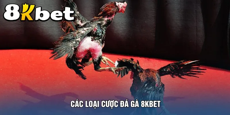 cac-loai-cuoc-da-ga-8kbet
