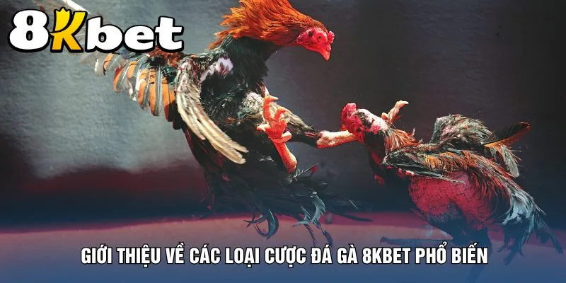 gioi-thieu-ve-cac-loai-cuoc-da-ga-8kbet-pho-bien